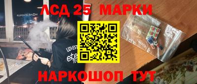 apvp Гусев